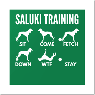 Saluki Training Saluki Dog Tricks Posters and Art